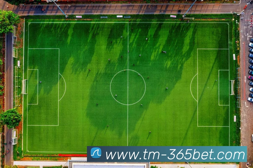 App Interface Preview